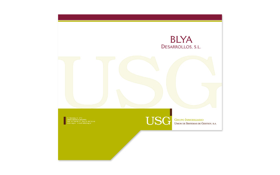 Diseño e Impresión Carpeta Blya USG